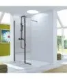 Paroi de douche fixe plus porte pivoante noir Polaris | nouveauté