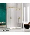 Paroi de douche angulaire coulissante en or brossé Glasé