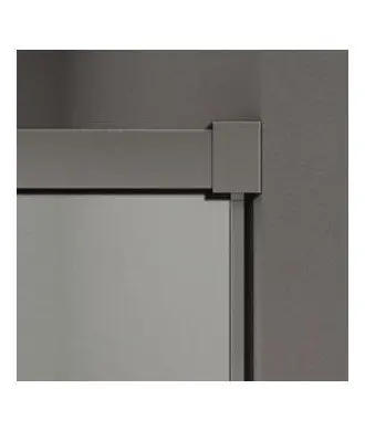 Paroi de douche avant basique en titane avec 2 panneaux fixes et 2 panneaux coulissants