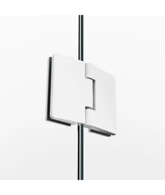 Paroi de douche 1 fixe plus 1 pivotant sans fermeture Verre Glass