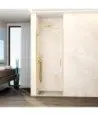 Paroi de douche à une porte battante et charnières en or brossé Glass
