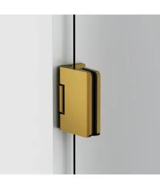 Paroi de douche 1 porte avec charnières murales en or brossé