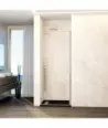 Paroi de douche nickel avec 1 porte battante et charnières Glass