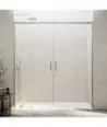 Paroi de douche nickel avec 2 panneaux fixes et 2 coulissants Basic