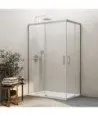 Paroi de douche d'angle nickel avec 2 fixes et 2 coulissants Basic