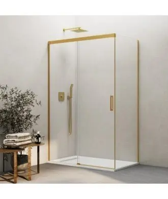 Paroi de douche rectangulaire basique en or brossé