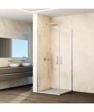 Paroi de douche d'angle avec 2 portes battantes et charnières en verre