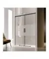Paroi de douche deux fixes et deux coulissantes noires Glasé